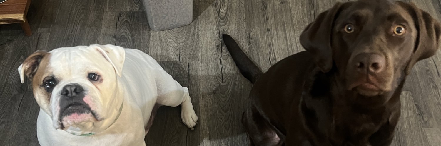 bitsaaayy's profile banner image