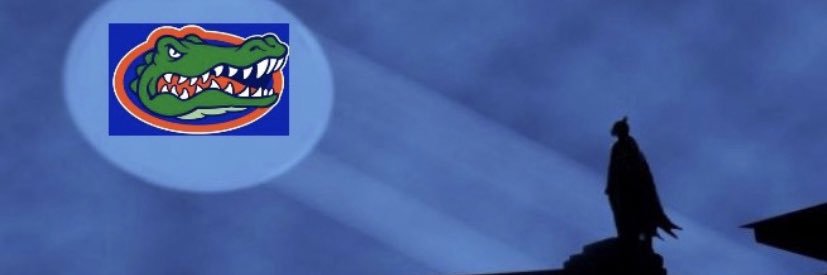 boschwarm's profile banner image