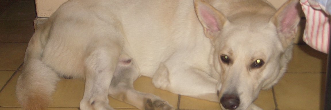 ynot_p's profile banner image
