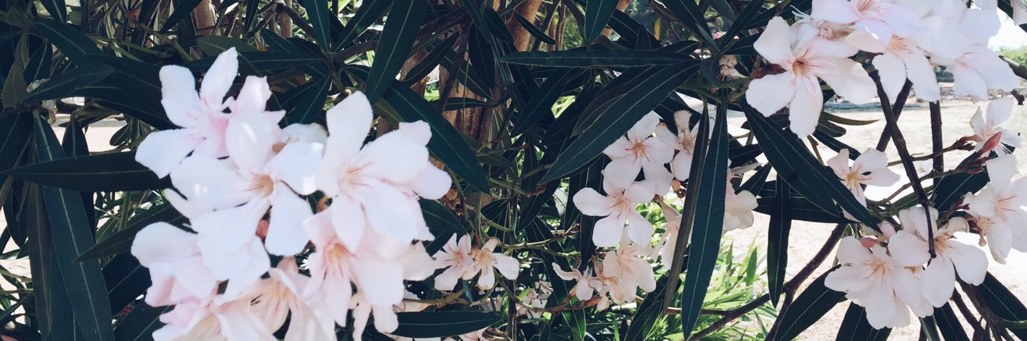 KayathriKlomp's profile banner image