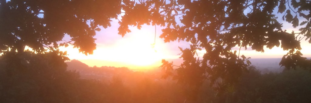 MickCollins20's profile banner image