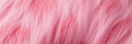 saruhperry's profile banner image