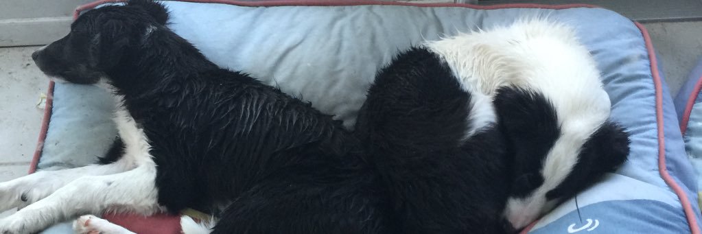 Its_Damon's profile banner image