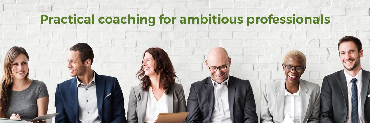 Merideth Mehlberg banner