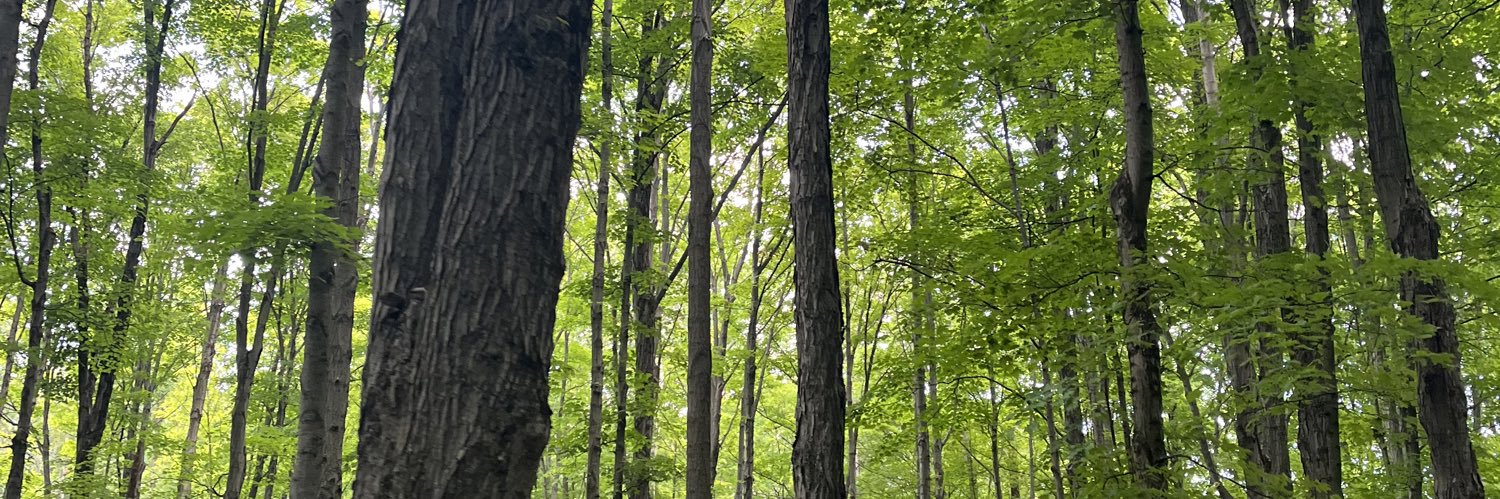 rileysue10's profile banner image