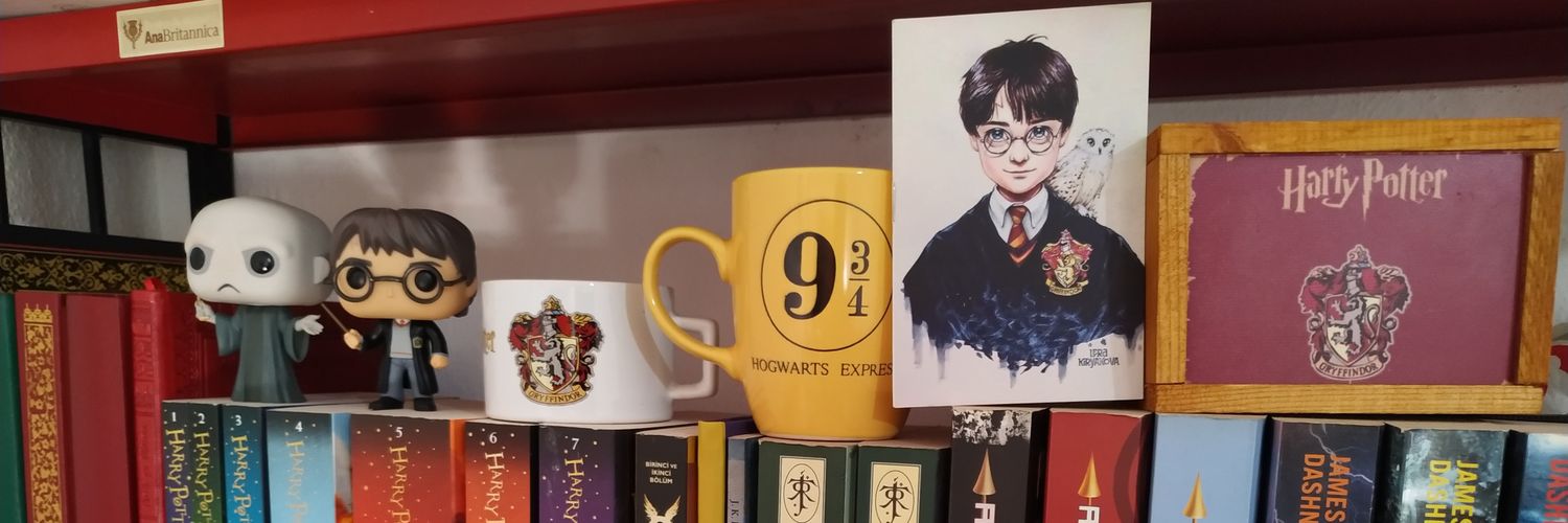 livanurdem's profile banner image