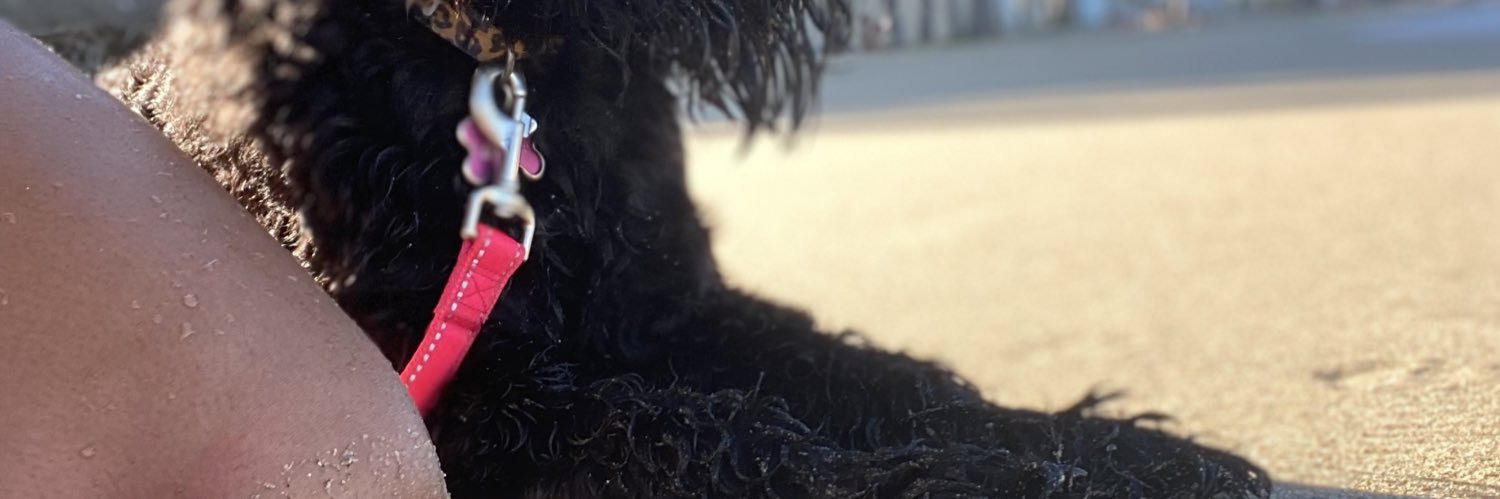 solyyy_m's profile banner image