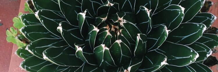 Caitlinashley8's profile banner image