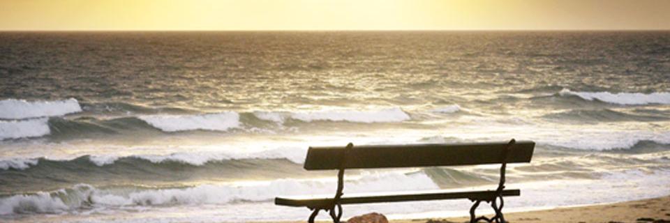 DanielleYHall's profile banner image