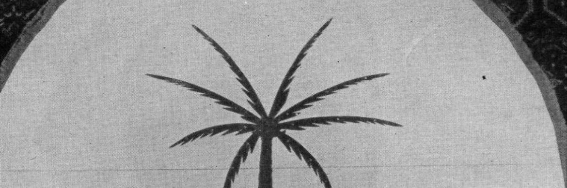 vv_8oo's profile banner image
