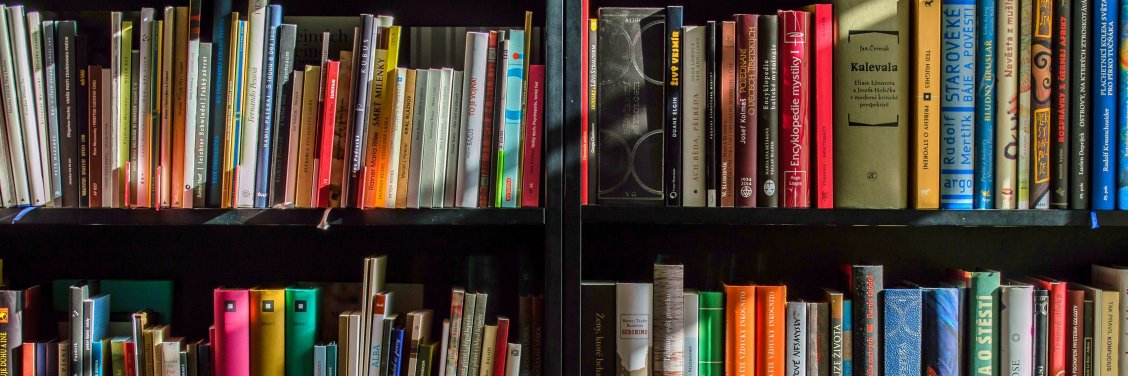 Lister Library banner