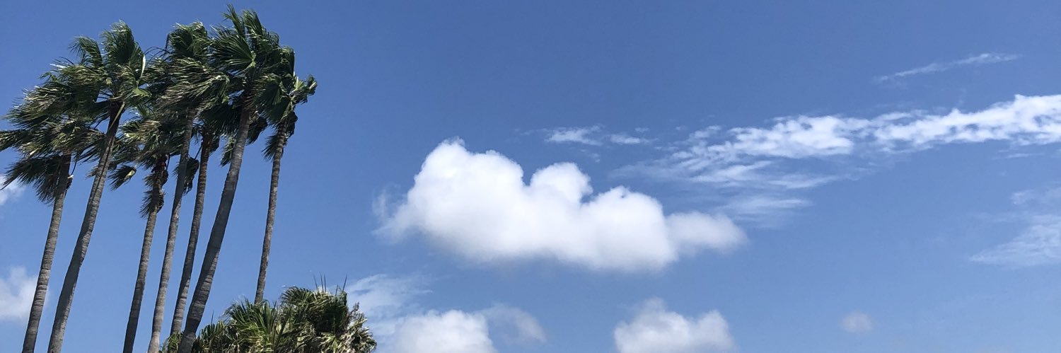 145sky_heart's profile banner image