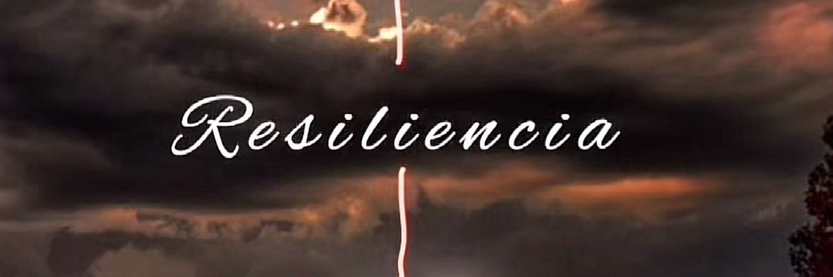 219Pame's profile banner image