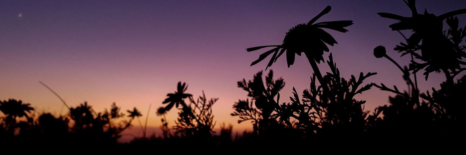 axlor1398's profile banner image