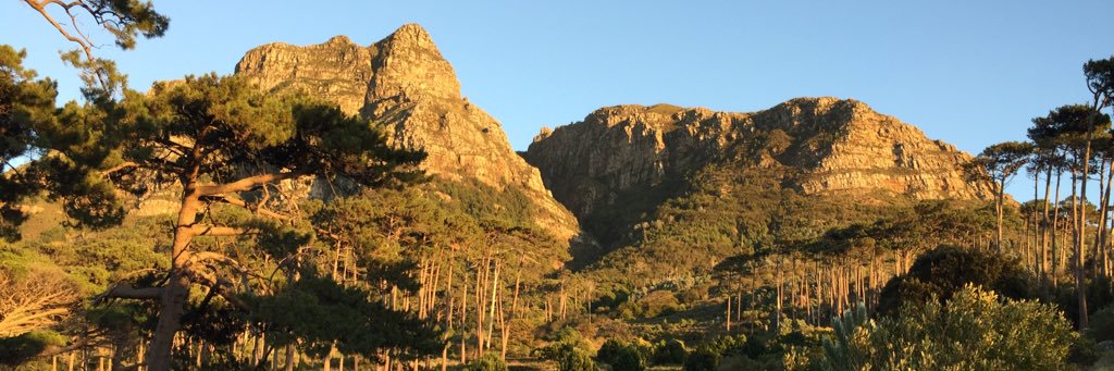 wayne_melle's profile banner image