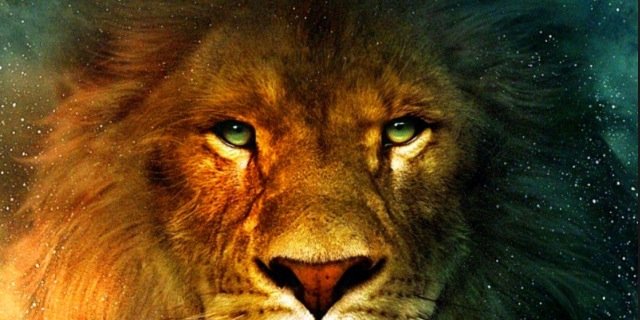 Ryadmams's profile banner image