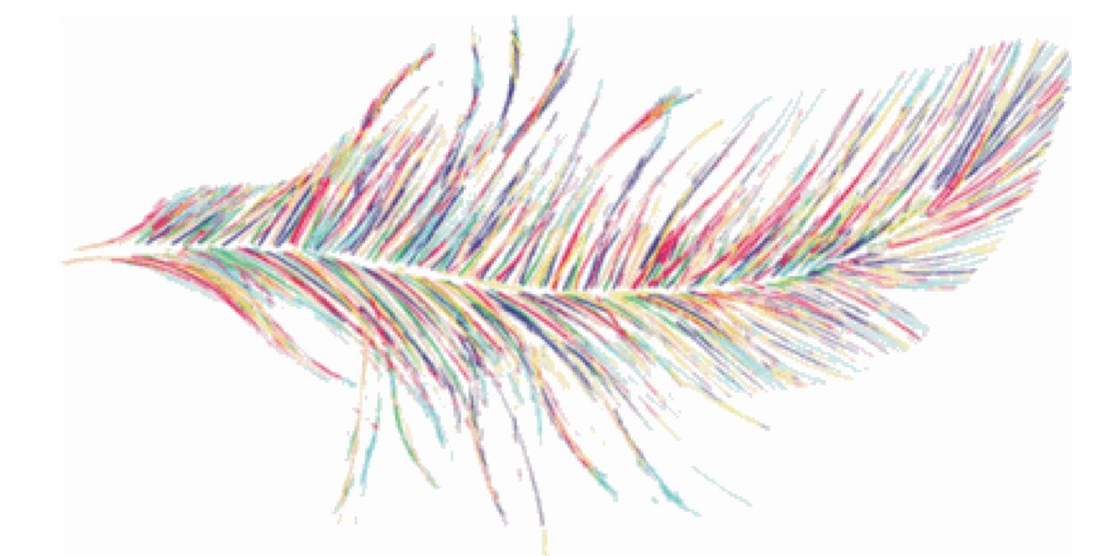 DirectionerWay1's profile banner image