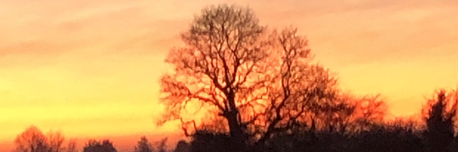 Sinéad Maher banner