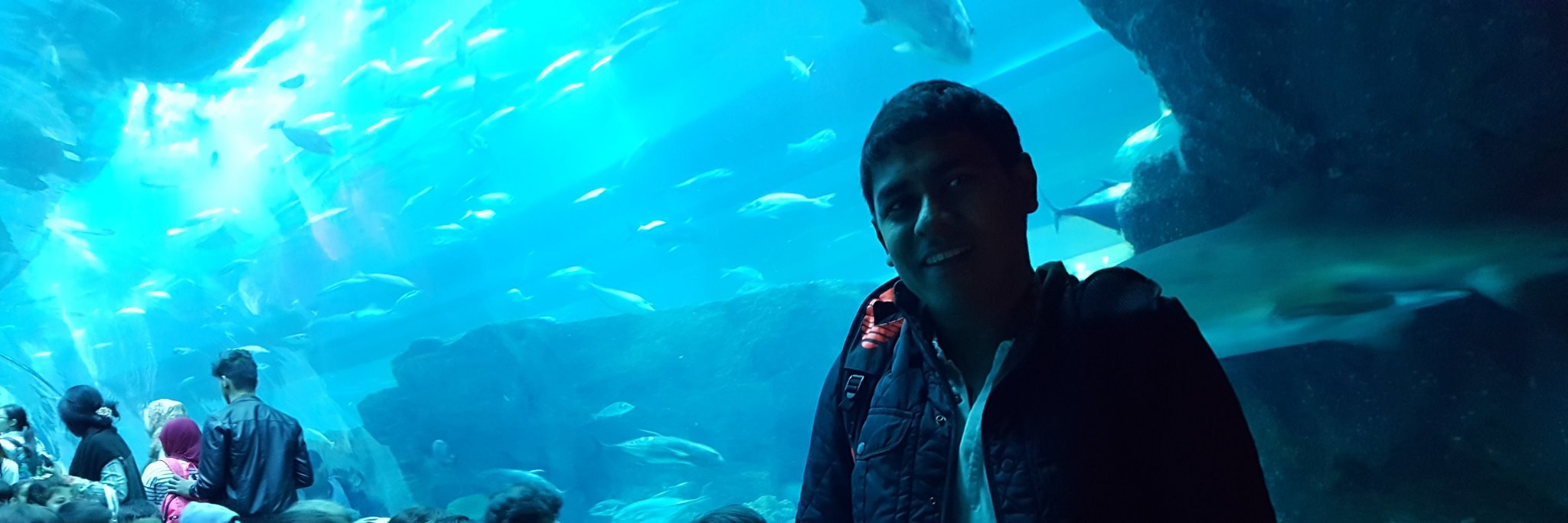 Manishkjain4's profile banner image