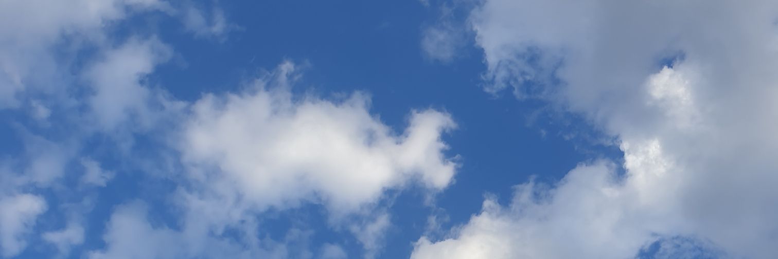 LittleStitch27's profile banner image