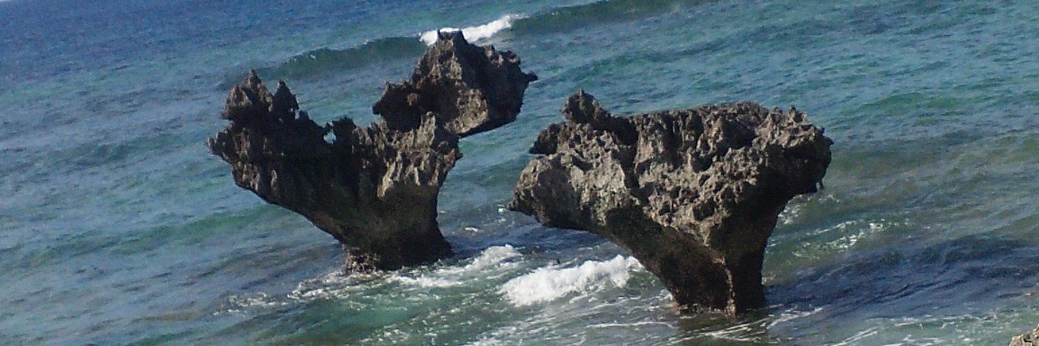 TogetherYu's profile banner image