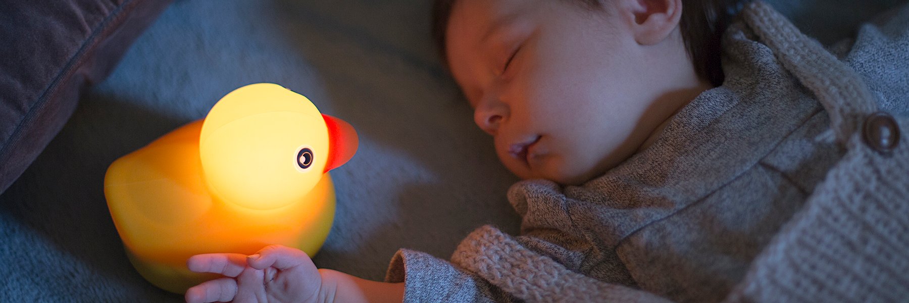 Edwin The Duck banner