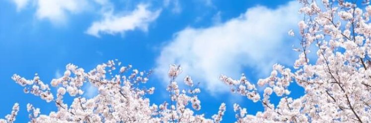 onemorestepyk's profile banner image
