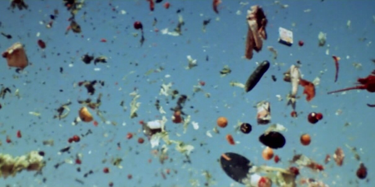 Nicholas Carr banner