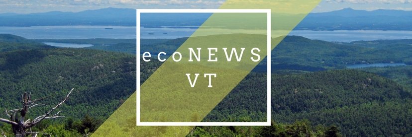 ecoNEWS_VT's profile banner image