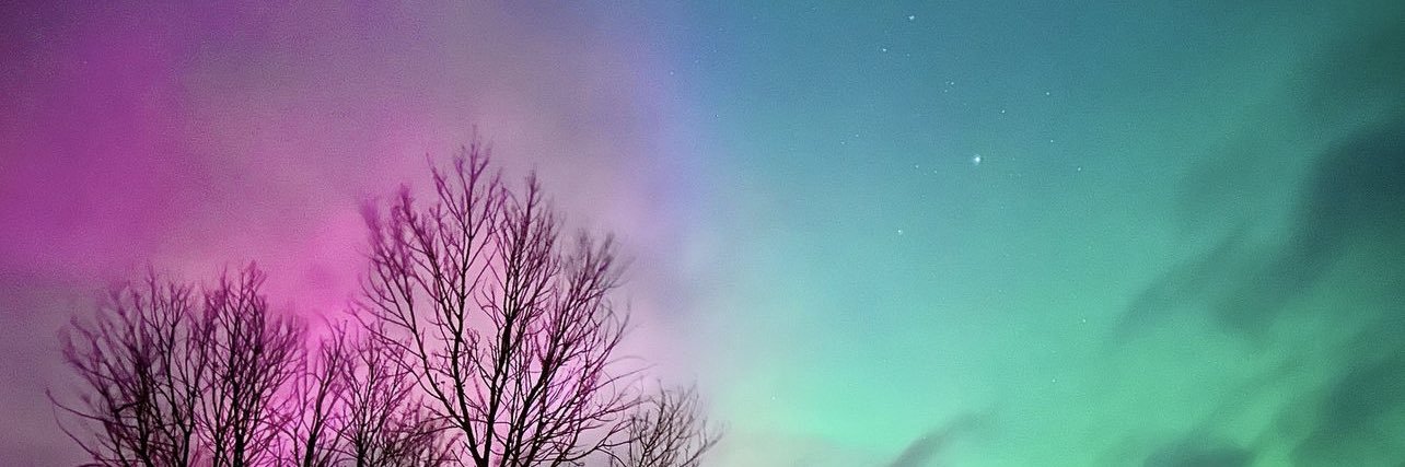 RizzelDee's profile banner image