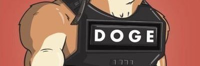 DOGE狗哥 banner