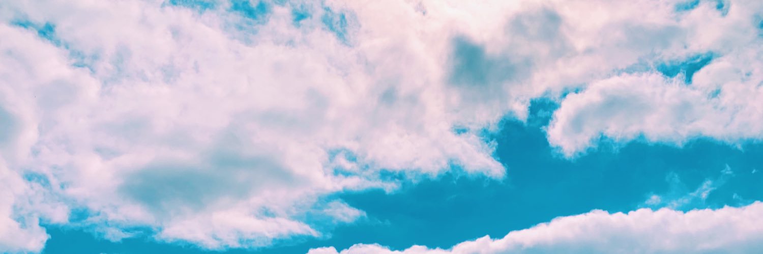 anniee_olsen's profile banner image