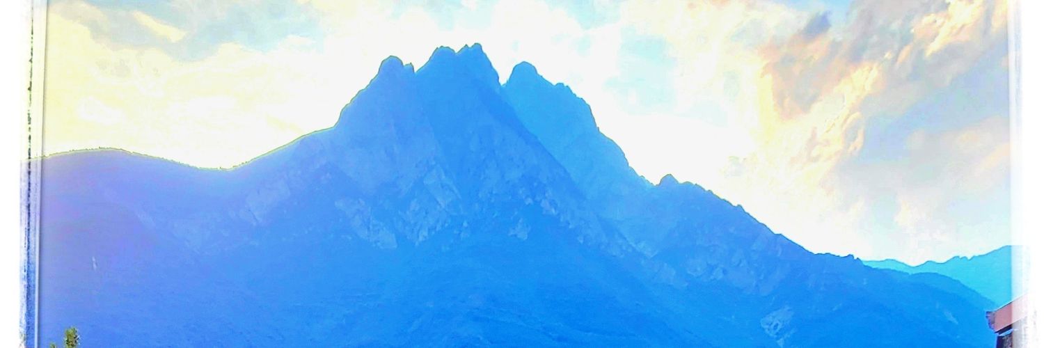 tilsakra's profile banner image