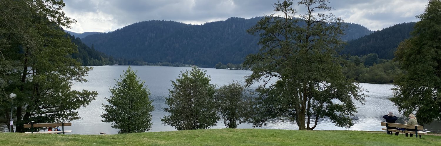 Thor des Asgardes🇫🇷 banner