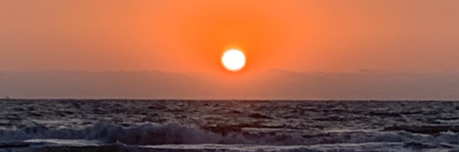 amlealo's profile banner image