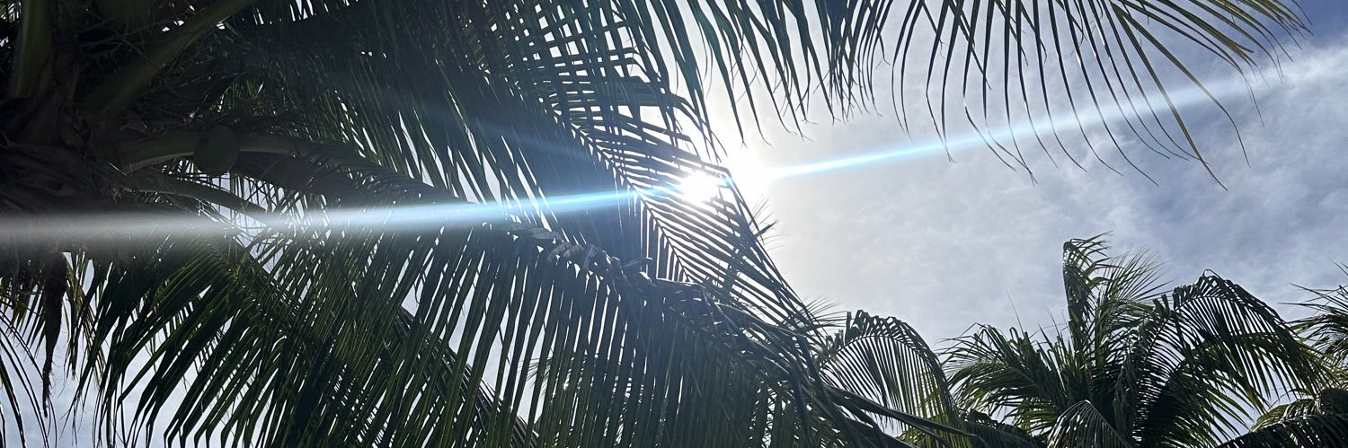 lvpvx's profile banner image