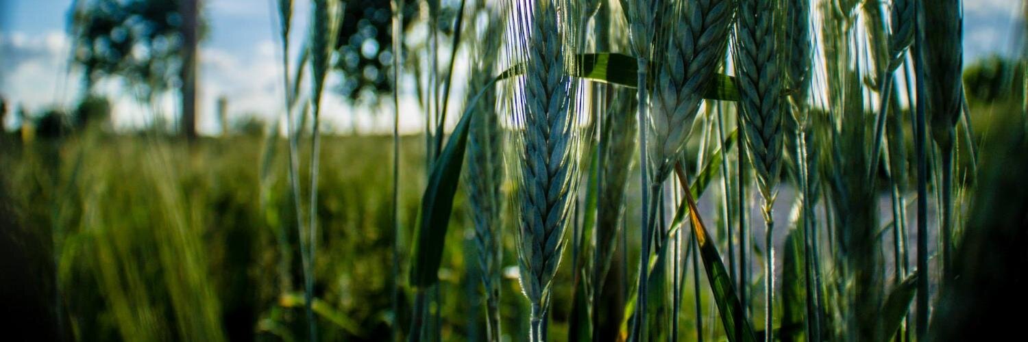 Wicked Ultimate banner