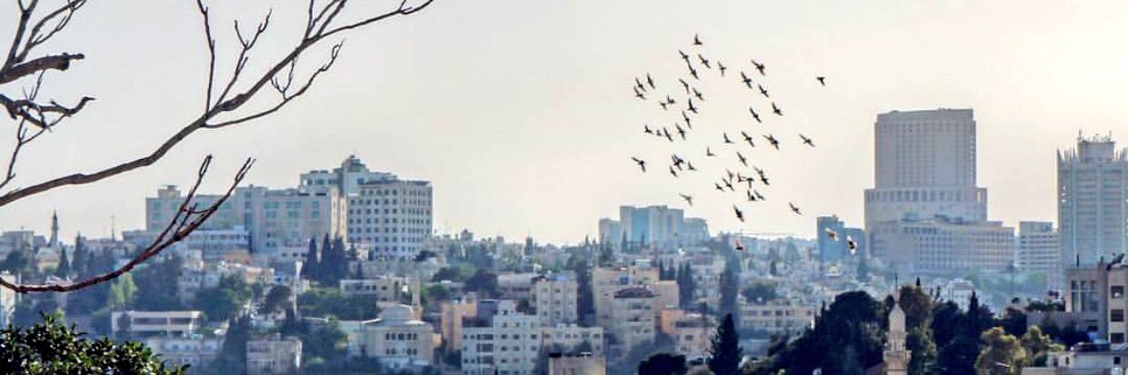 bu3ooo's profile banner image