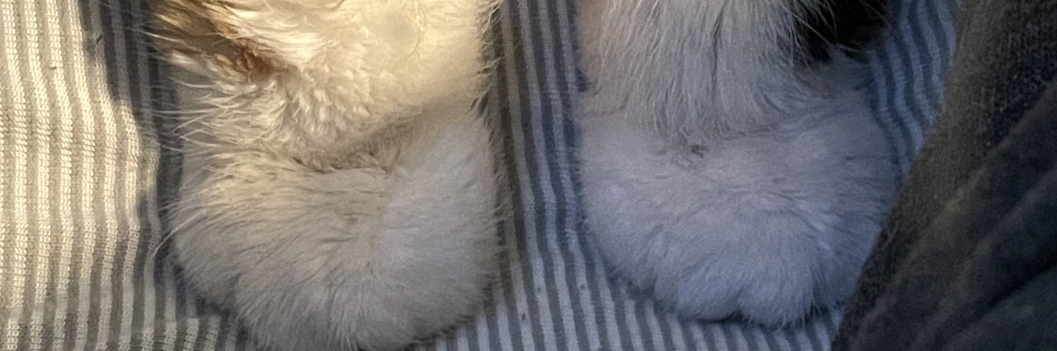 risajones9's profile banner image