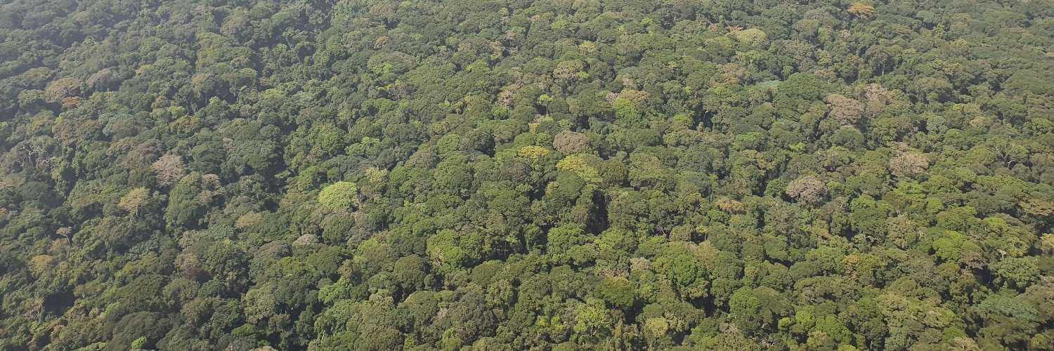 Fiona Maisels 🐀💚 banner