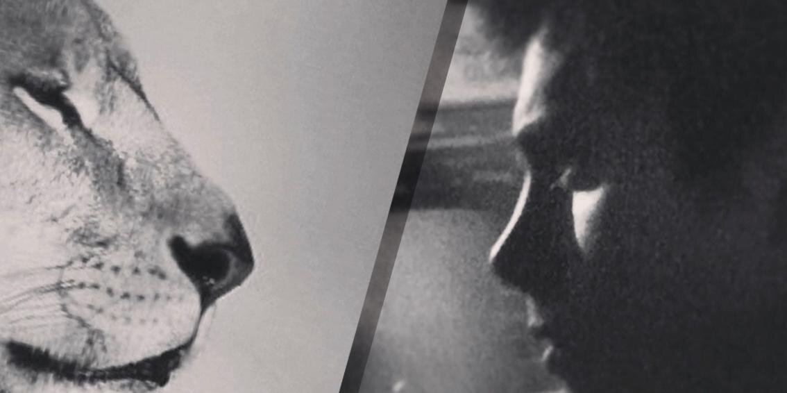 manuyllesca's profile banner image