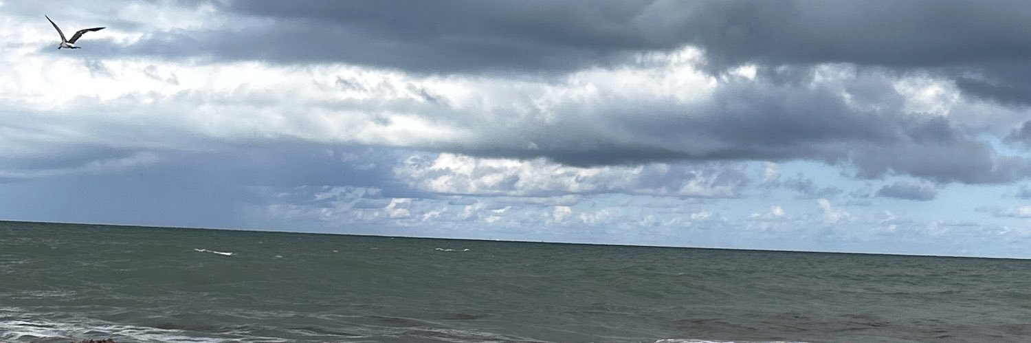 L1tlelady's profile banner image