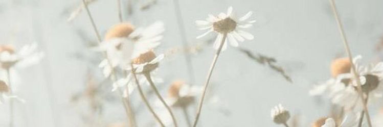 🌿 im just a girl banner