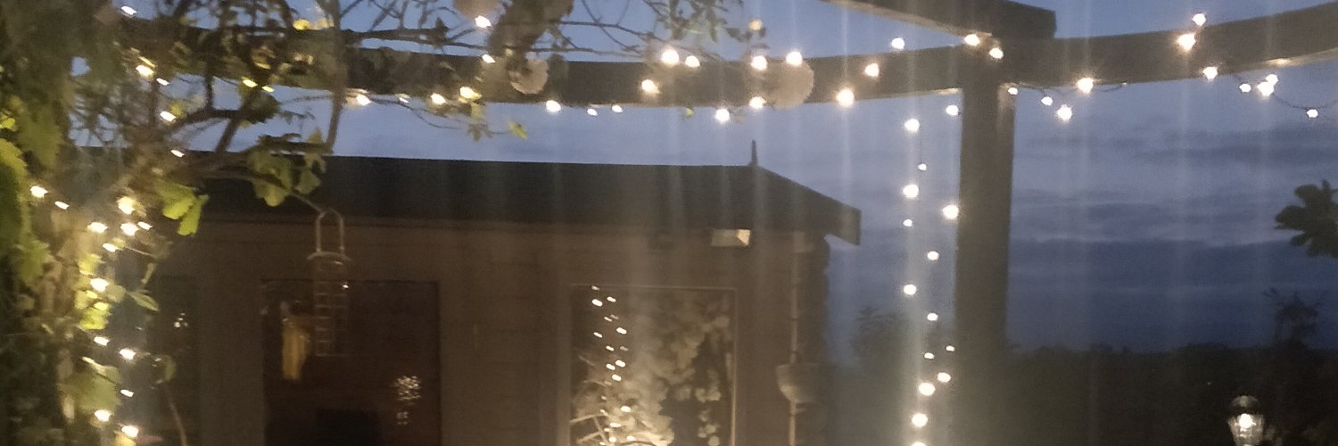 Dina Fernandes-Bedwell banner