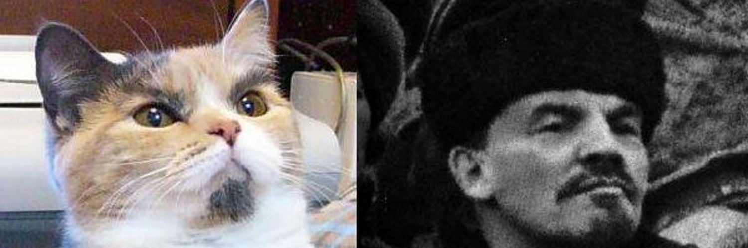 BernieIsKing's profile banner image