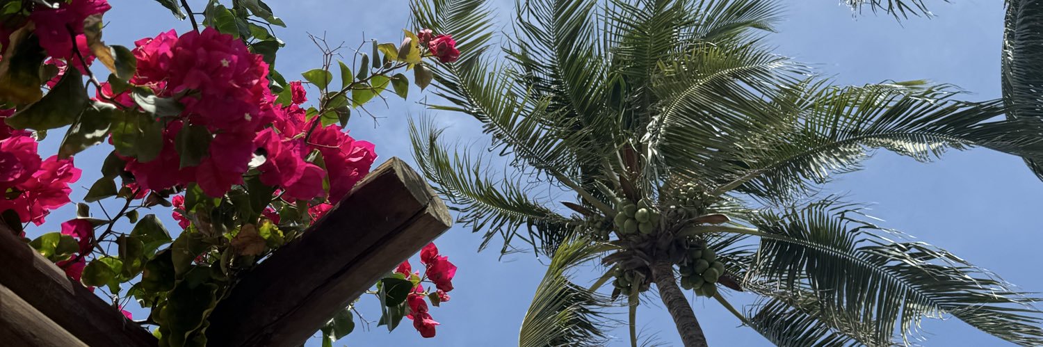 Valeerostes's profile banner image