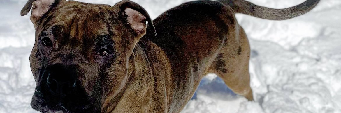 John Wesley Ray banner