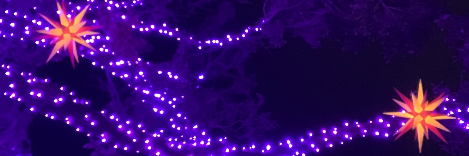 DisneyGeek92's profile banner image