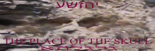 SkullyLaylo Profile Banner