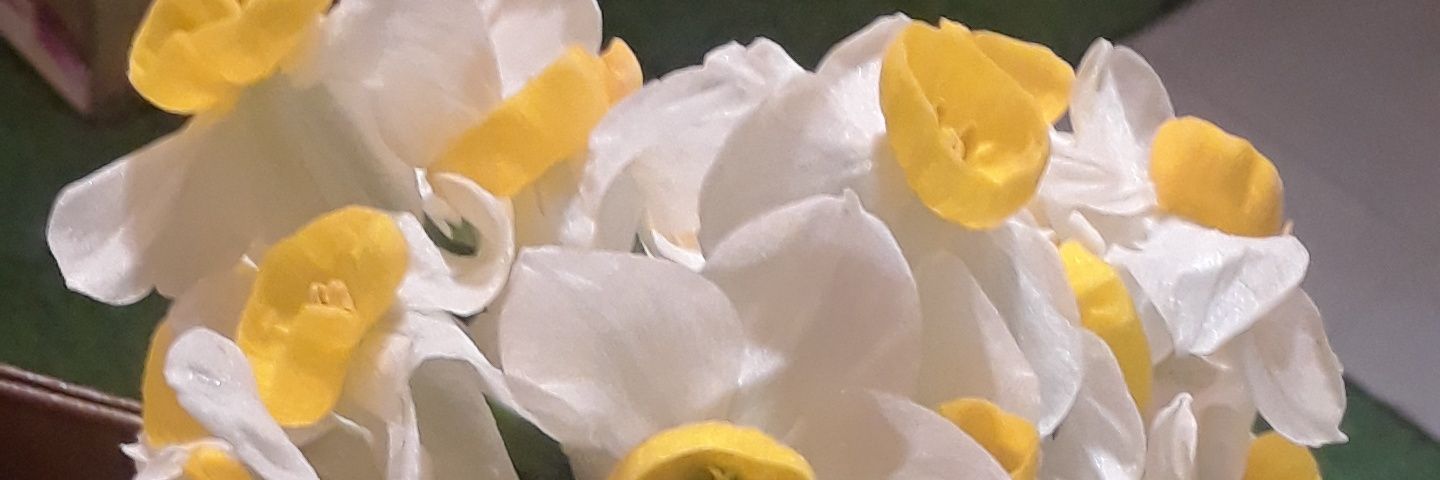 Mahamness's profile banner image
